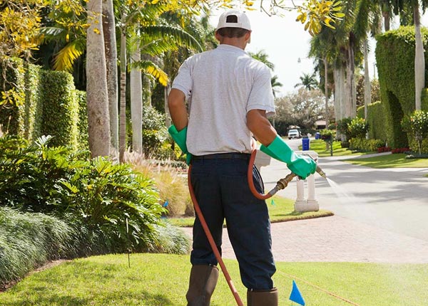 About Newtonville NJ Pest Control Pros